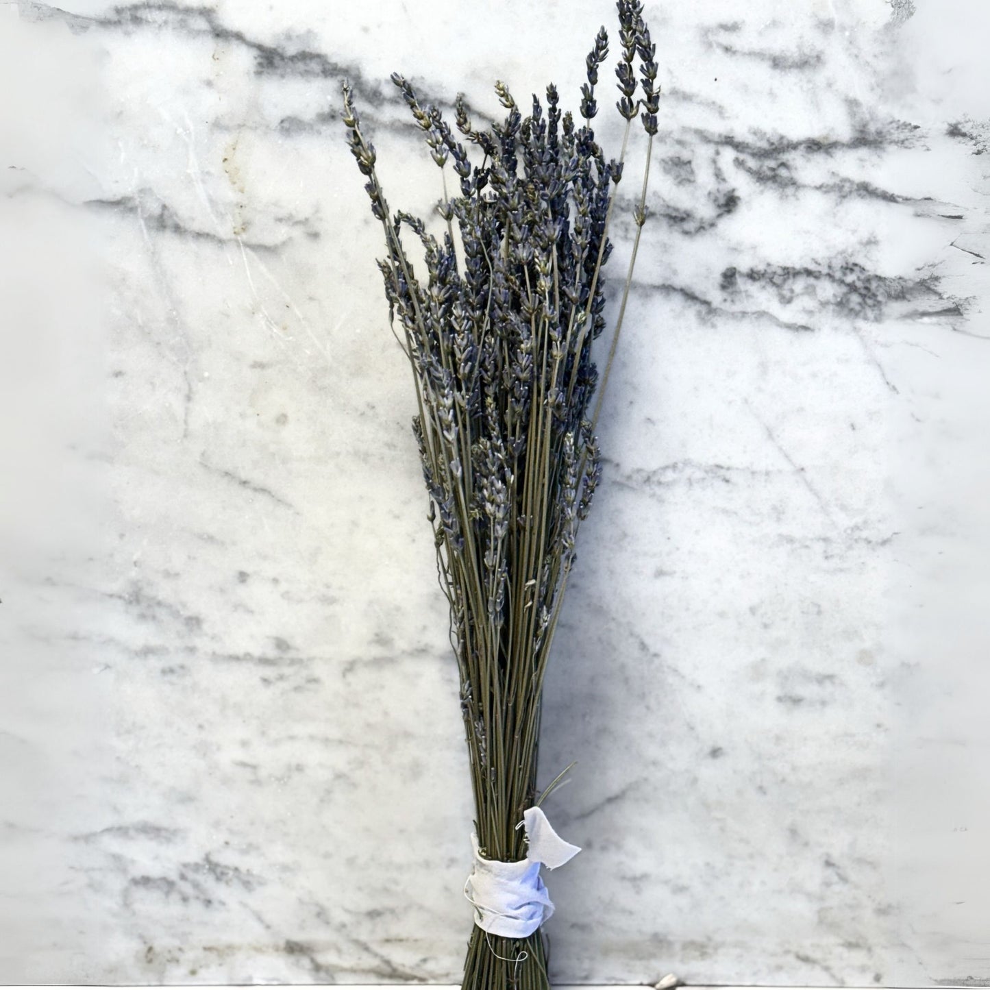 Dried Lavender Bundle